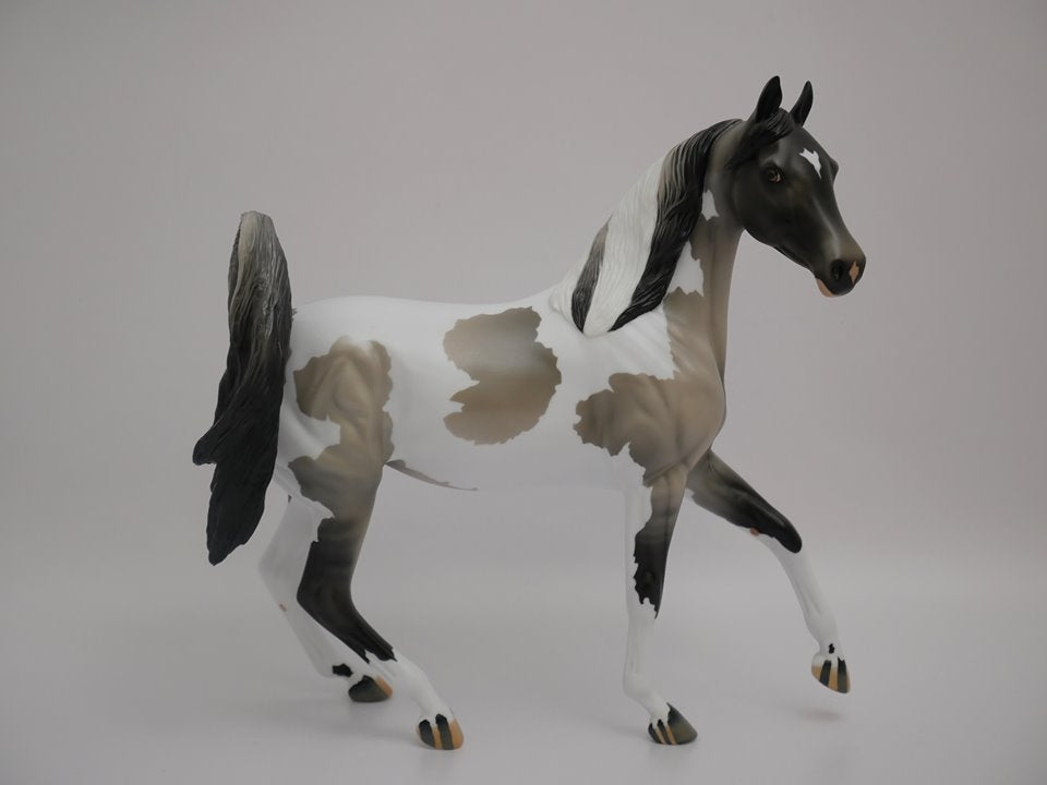 SHADOW BOX-GRULLA PAINT ARABIAN MARE MODEL HORSE BY AUDREY DIXON 7/2/20