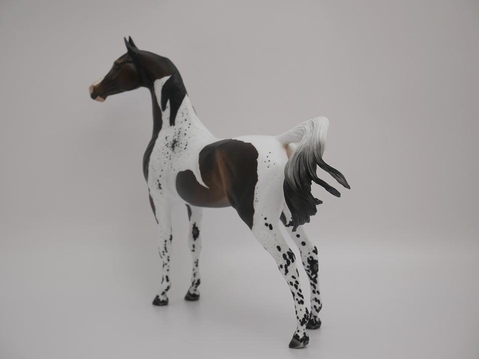 TRY ME-OOAK BAY PINTALOOSA MODEL HORSE BY AUDREY DIXON 7/2/20