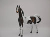 TRY ME-OOAK BAY PINTALOOSA MODEL HORSE BY AUDREY DIXON 7/2/20
