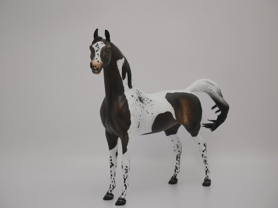 TRY ME-OOAK BAY PINTALOOSA MODEL HORSE BY AUDREY DIXON 7/2/20