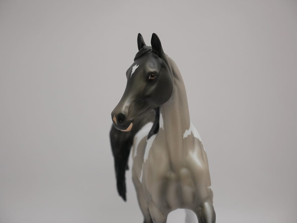 SHADOW BOX-GRULLA PAINT ARABIAN MARE MODEL HORSE BY AUDREY DIXON 7/2/20