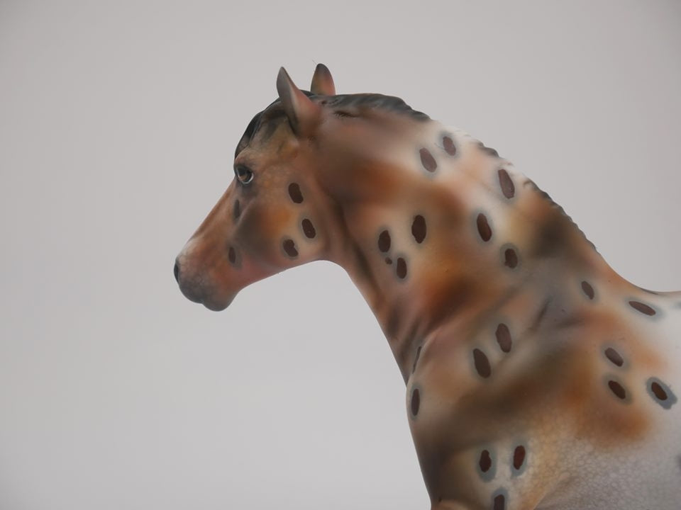 LITTLE BEN-LE-30 APPALOOSA PEBBLES DRAFT MODEL HORSE 7/2/20