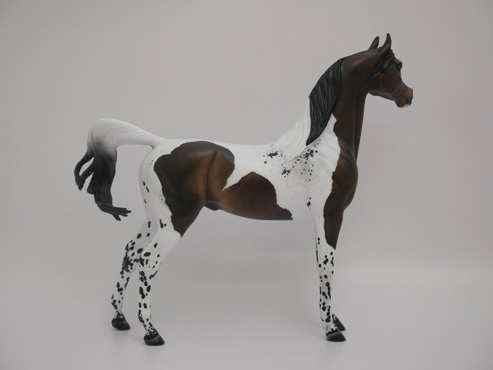 TRY ME-OOAK BAY PINTALOOSA MODEL HORSE BY AUDREY DIXON 7/2/20