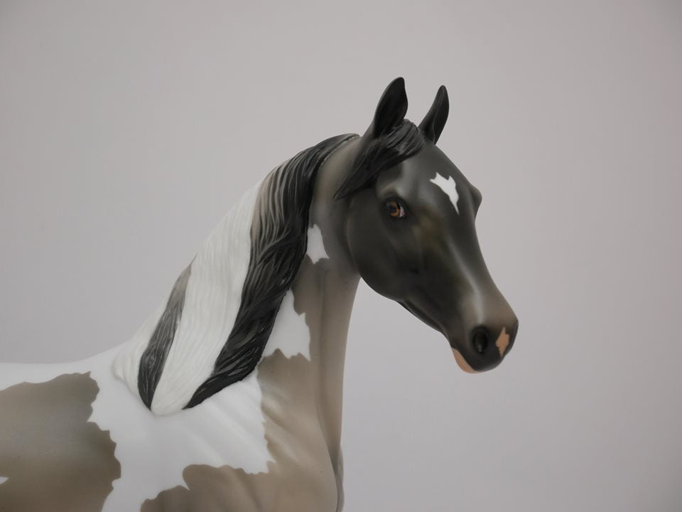 SHADOW BOX-GRULLA PAINT ARABIAN MARE MODEL HORSE BY AUDREY DIXON 7/2/20
