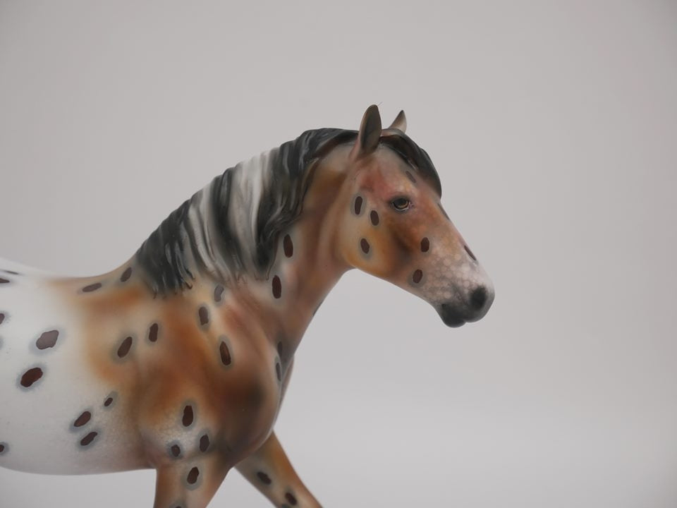 LITTLE BEN-LE-30 APPALOOSA PEBBLES DRAFT MODEL HORSE 7/2/20