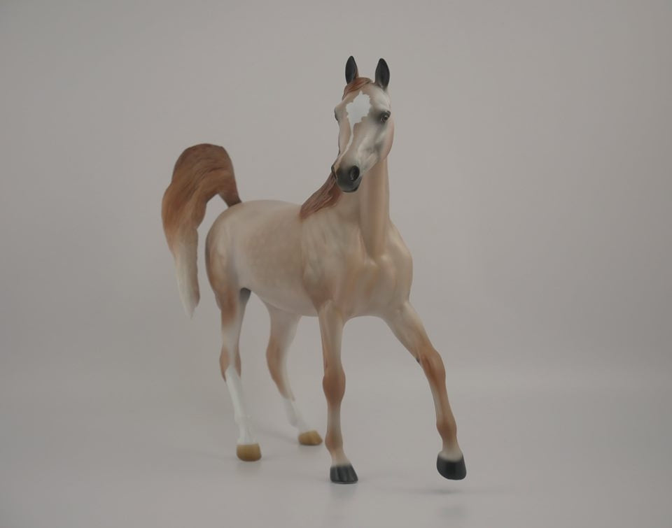 Zaharah -- LE-14 Rose Grey Arabian Mare by Audrey Dixon