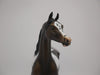 TRY ME-OOAK BAY PINTALOOSA MODEL HORSE BY AUDREY DIXON 7/2/20