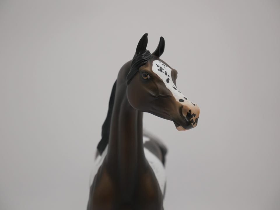 TRY ME-OOAK BAY PINTALOOSA MODEL HORSE BY AUDREY DIXON 7/2/20