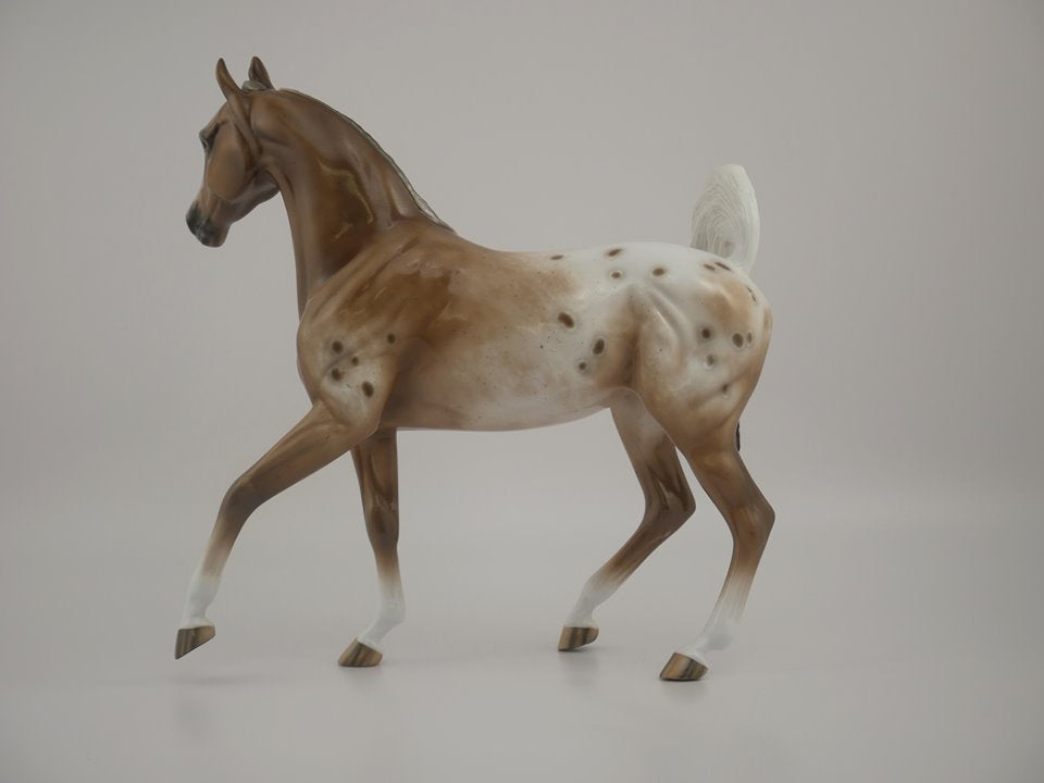 PEFECTLY FABULOUS-OOAK APPALOOSA ARABIAN MARE BY SHERYL LEISURE 7/10/20