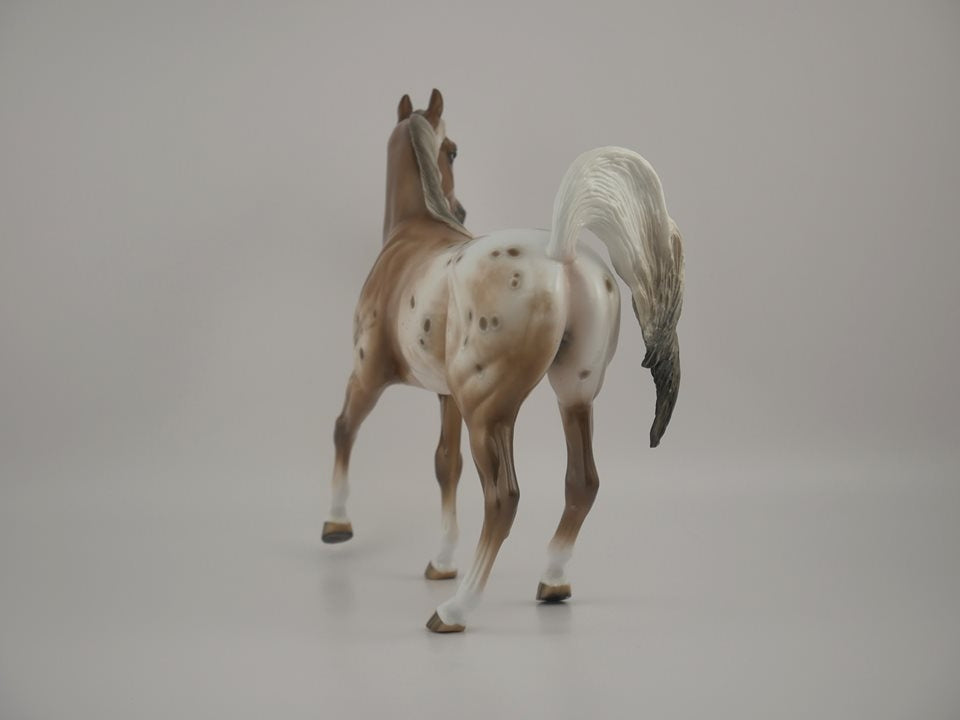 PEFECTLY FABULOUS-OOAK APPALOOSA ARABIAN MARE BY SHERYL LEISURE 7/10/20