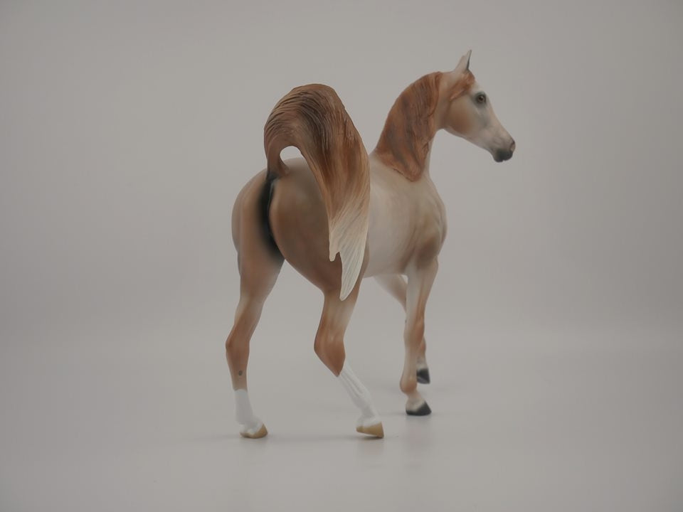 Zaharah -- LE-14 Rose Grey Arabian Mare by Audrey Dixon