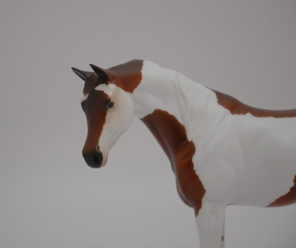 Bryde - OOAK Chestnut Pinto Arabian Pebbles by Audrey Dixon 7/9/20