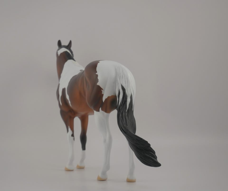 Buckeye CM -- LE-10 Bay Pinto by Kayla Wesse