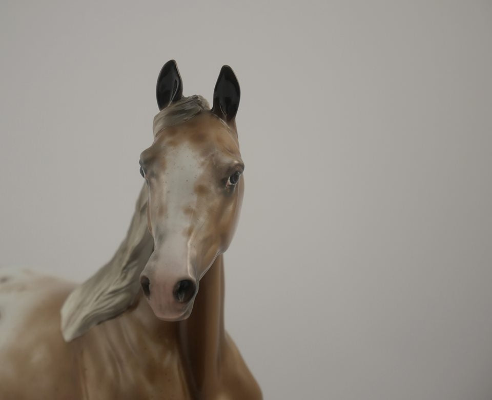 PEFECTLY FABULOUS-OOAK APPALOOSA ARABIAN MARE BY SHERYL LEISURE 7/10/20