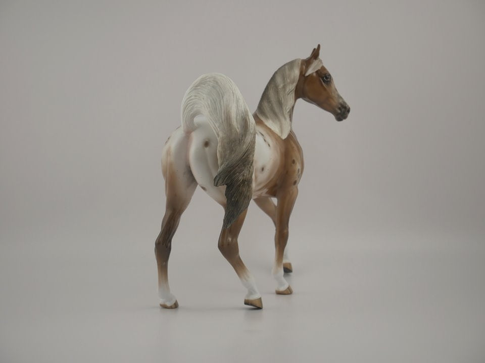 PEFECTLY FABULOUS-OOAK APPALOOSA ARABIAN MARE BY SHERYL LEISURE 7/10/20