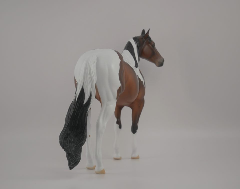 Buckeye -- LE-3 Bay Pinto by Kayla Wesse