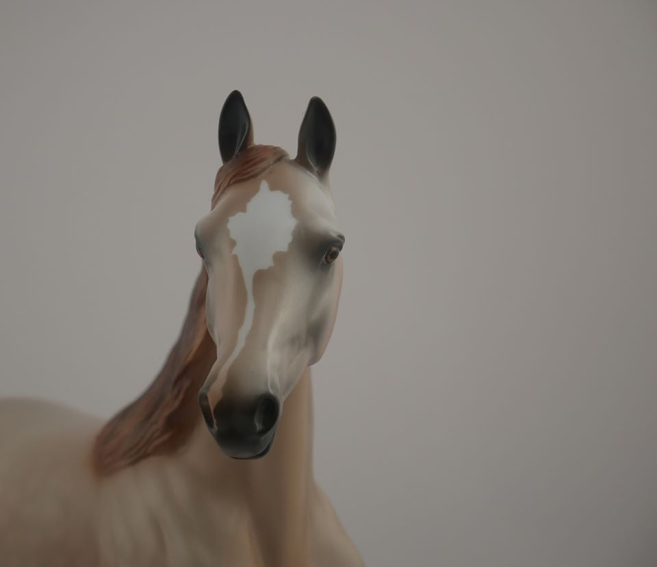 Zaharah -- LE-14 Rose Grey Arabian Mare by Audrey Dixon