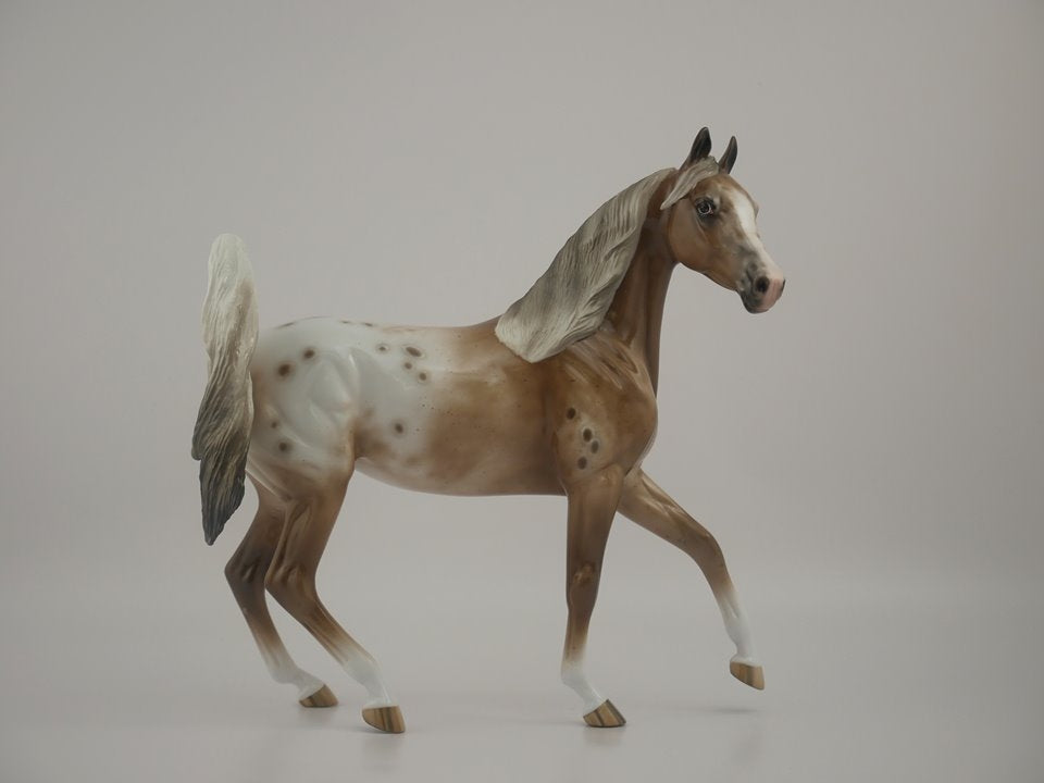 PEFECTLY FABULOUS-OOAK APPALOOSA ARABIAN MARE BY SHERYL LEISURE 7/10/20