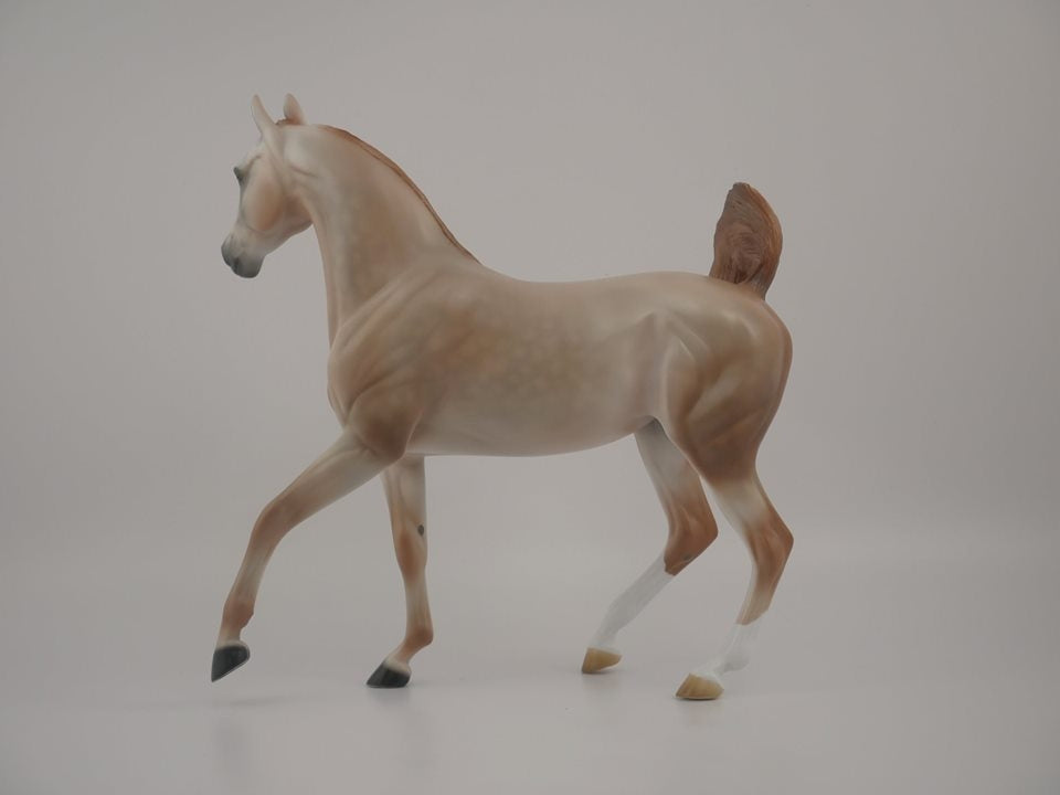 Zaharah -- LE-14 Rose Grey Arabian Mare by Audrey Dixon