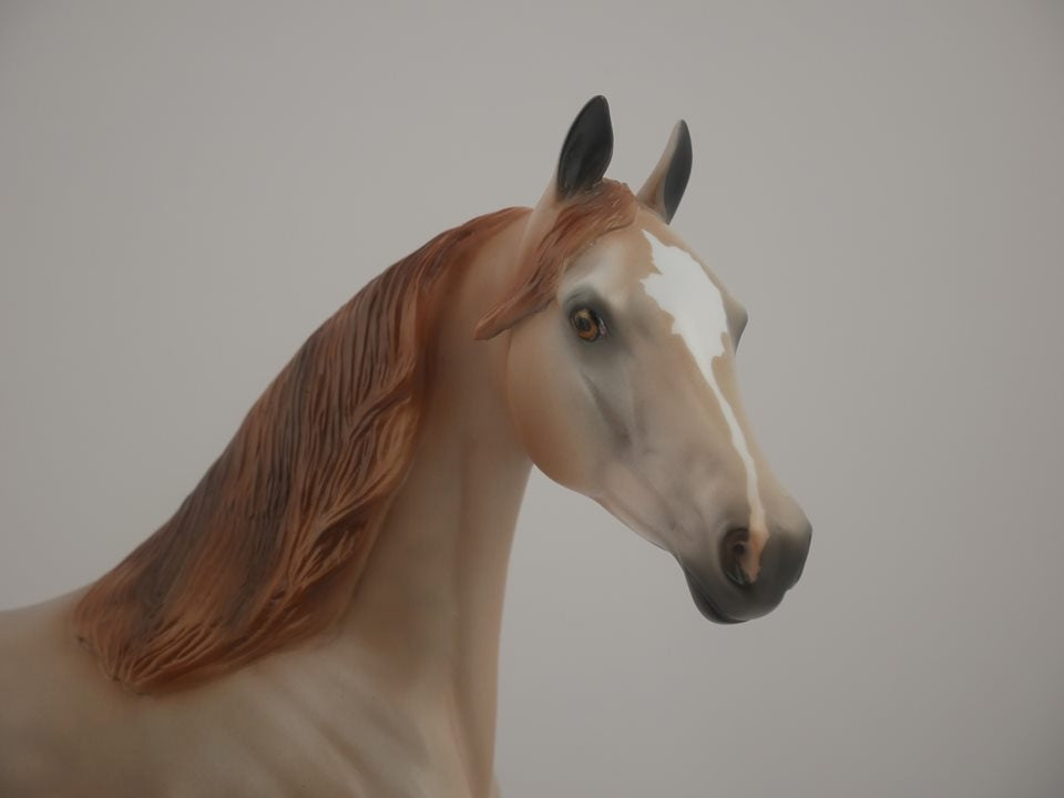 Zaharah -- LE-14 Rose Grey Arabian Mare by Audrey Dixon