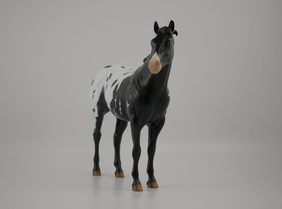 BUMI-LE-? LOUD APPALOOSA ISH MODEL HORSE 7/17/20