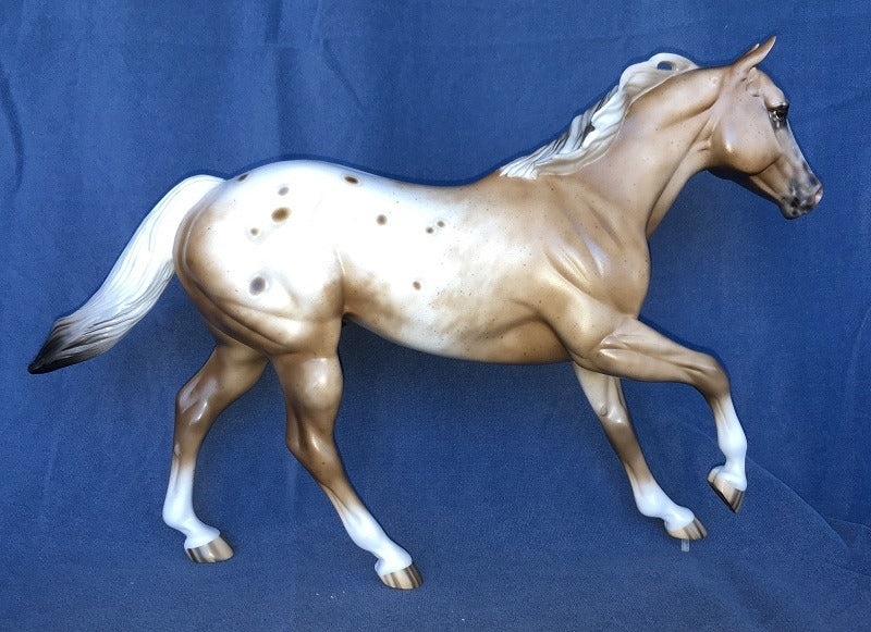 BE COLORFUL-OOAK BAY APPALOOSA FOUNDATION QUARTER HORSE 4/24/20