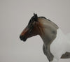 WINTERS HOTH-LE-? ROAN PINTO PEBBLES DRAFT MODEL HORSE 7/17/20