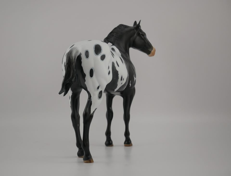 BUMI-LE-? LOUD APPALOOSA ISH MODEL HORSE 7/17/20