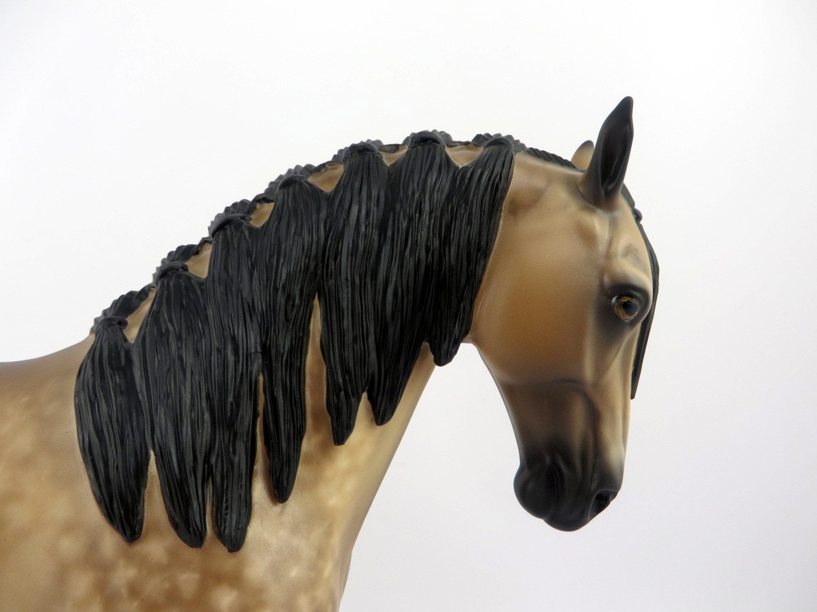 VENTURA-OOAK DAPPLE BUCKSKIN ANDALUSIAN BY SHERYL LEISURE 8/10/20