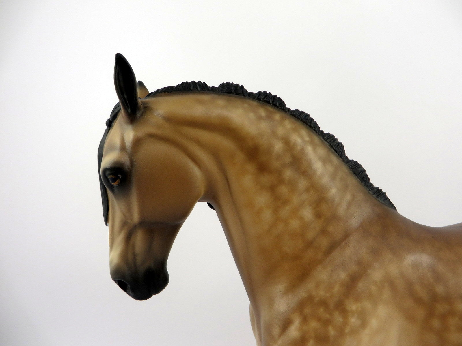 VENTURA-OOAK DAPPLE BUCKSKIN ANDALUSIAN BY SHERYL LEISURE 8/10/20