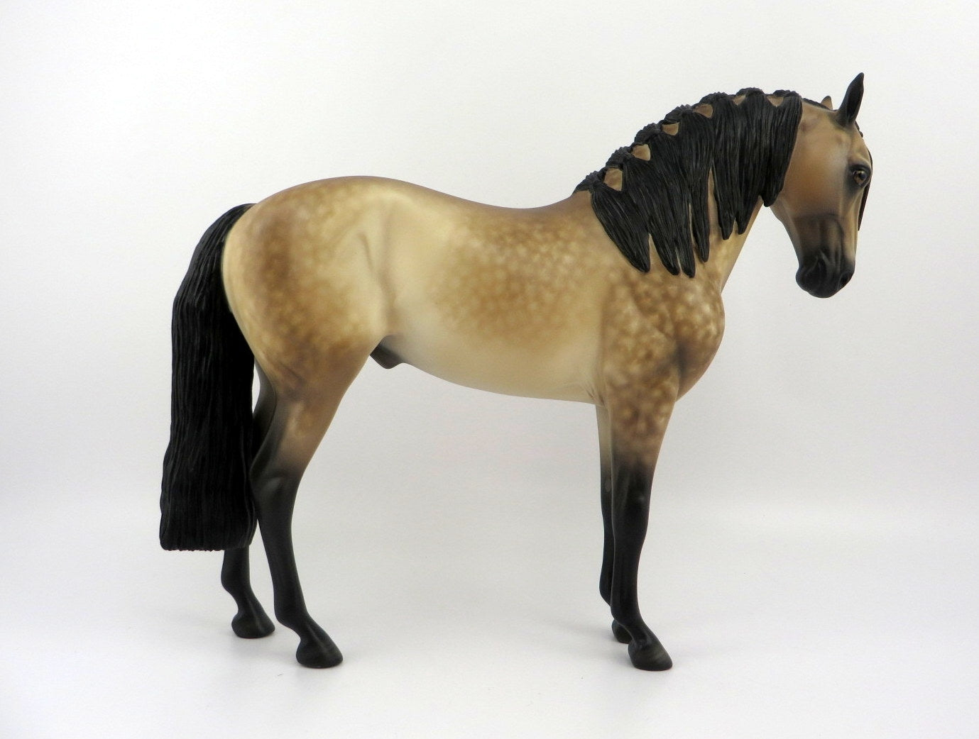 VENTURA-OOAK DAPPLE BUCKSKIN ANDALUSIAN BY SHERYL LEISURE 8/10/20