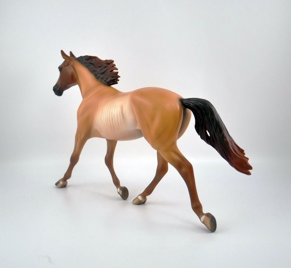 ROCKWOOD-LE-6 PALOUSE BY SHERYL LEISURE EQ 2020