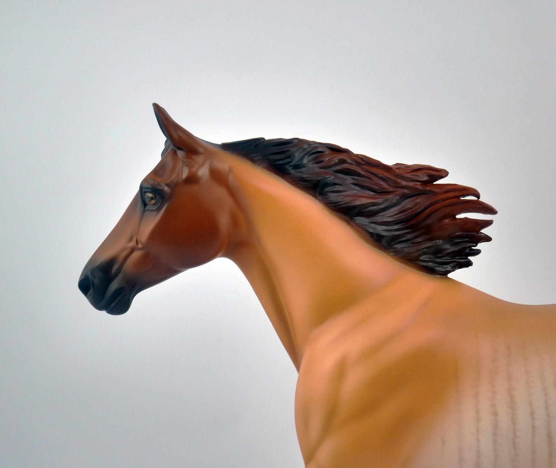 ROCKWOOD-LE-6 PALOUSE BY SHERYL LEISURE EQ 2020