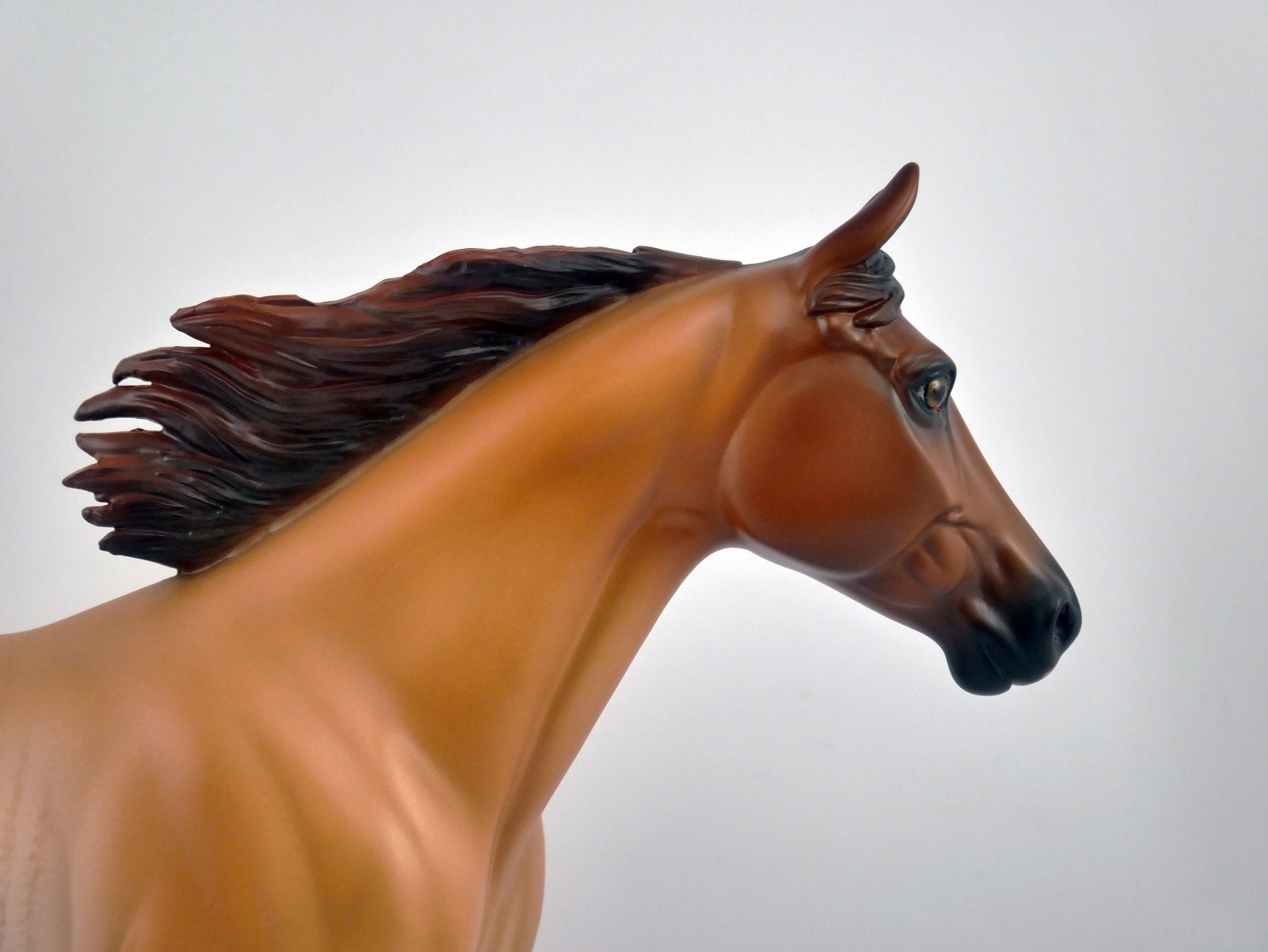 ROCKWOOD-LE-6 PALOUSE BY SHERYL LEISURE EQ 2020