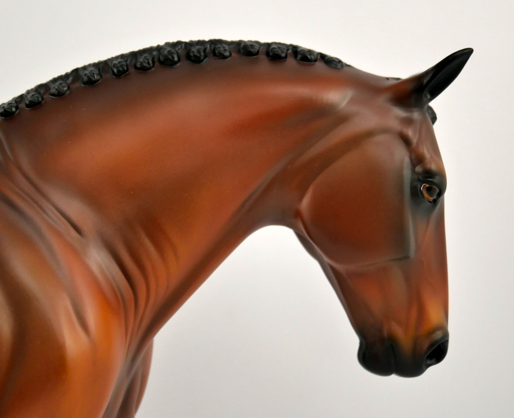 Gold Tier 2nd Release Huntley Dapple Bay Irish Drafter