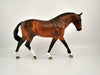 Gold Tier 2nd Release Huntley Dapple Bay Irish Drafter