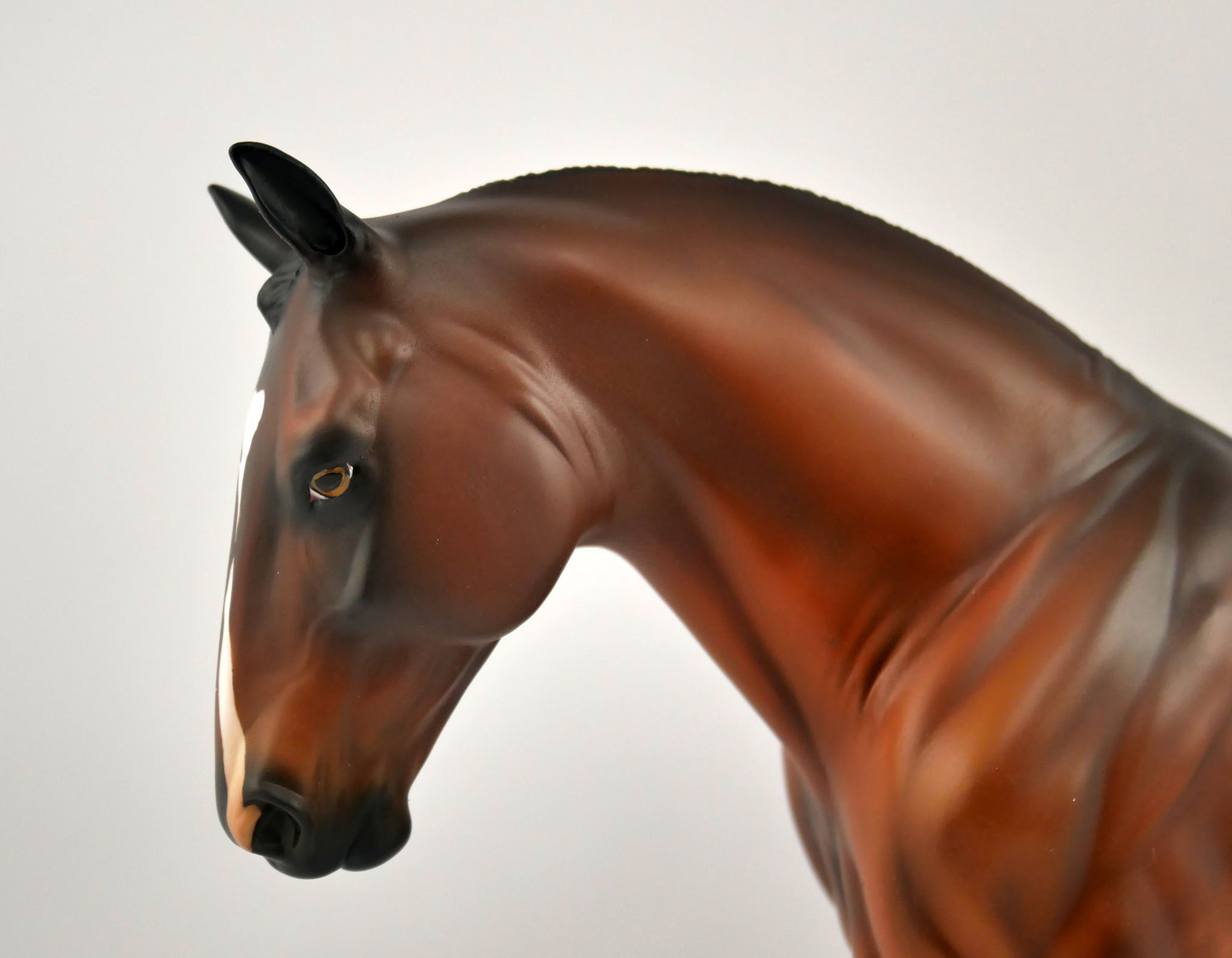 Gold Tier 2nd Release Huntley Dapple Bay Irish Drafter