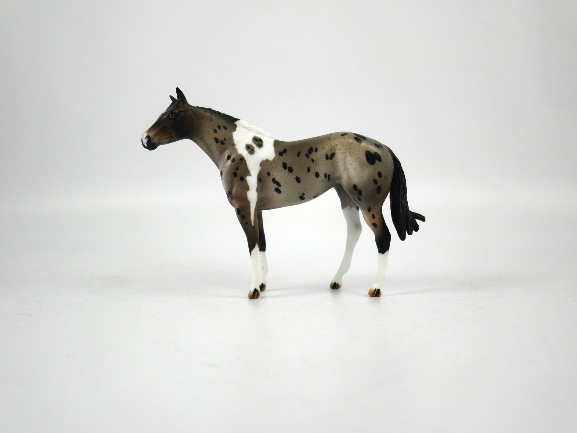I Spot You-LE-?  Silver Tier Loyalty Blue Roan Pintaloosa Stock Horse Chip By Julie Keim 1/7/21