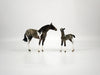 I Spot You-LE-?  Silver Tier Loyalty Blue Roan Pintaloosa Foal Chip By Julie Keim 1/7/21