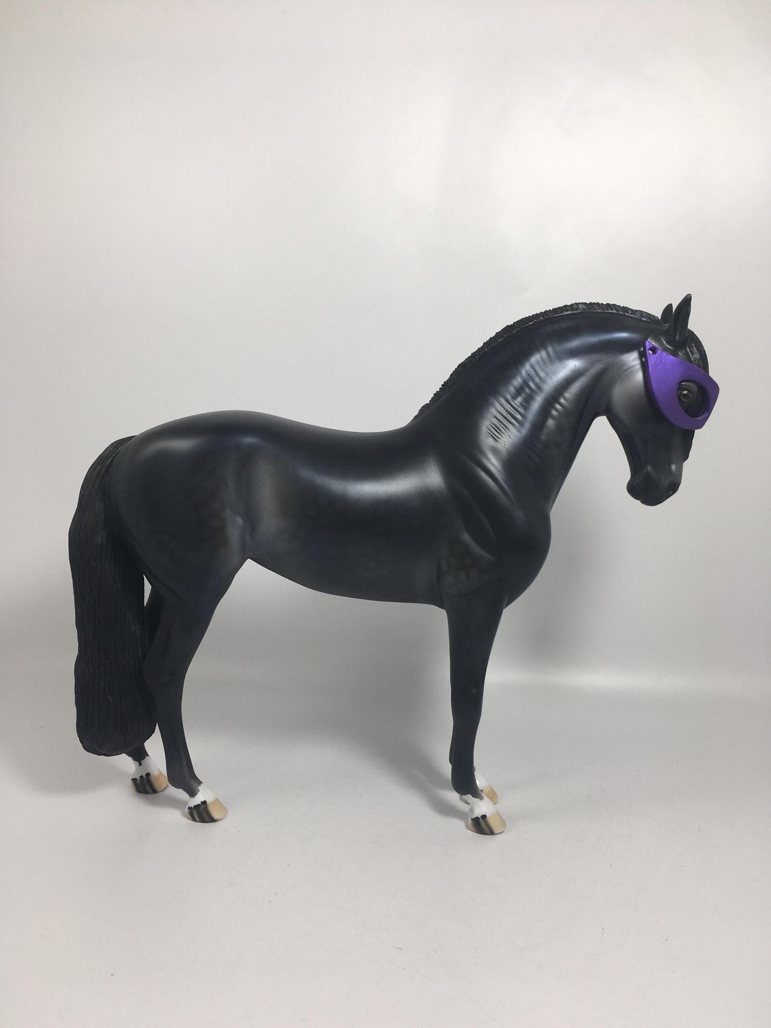 Voodoo-LE-15 Dapple Black Andalusian By Dawn Quick 2/16/21