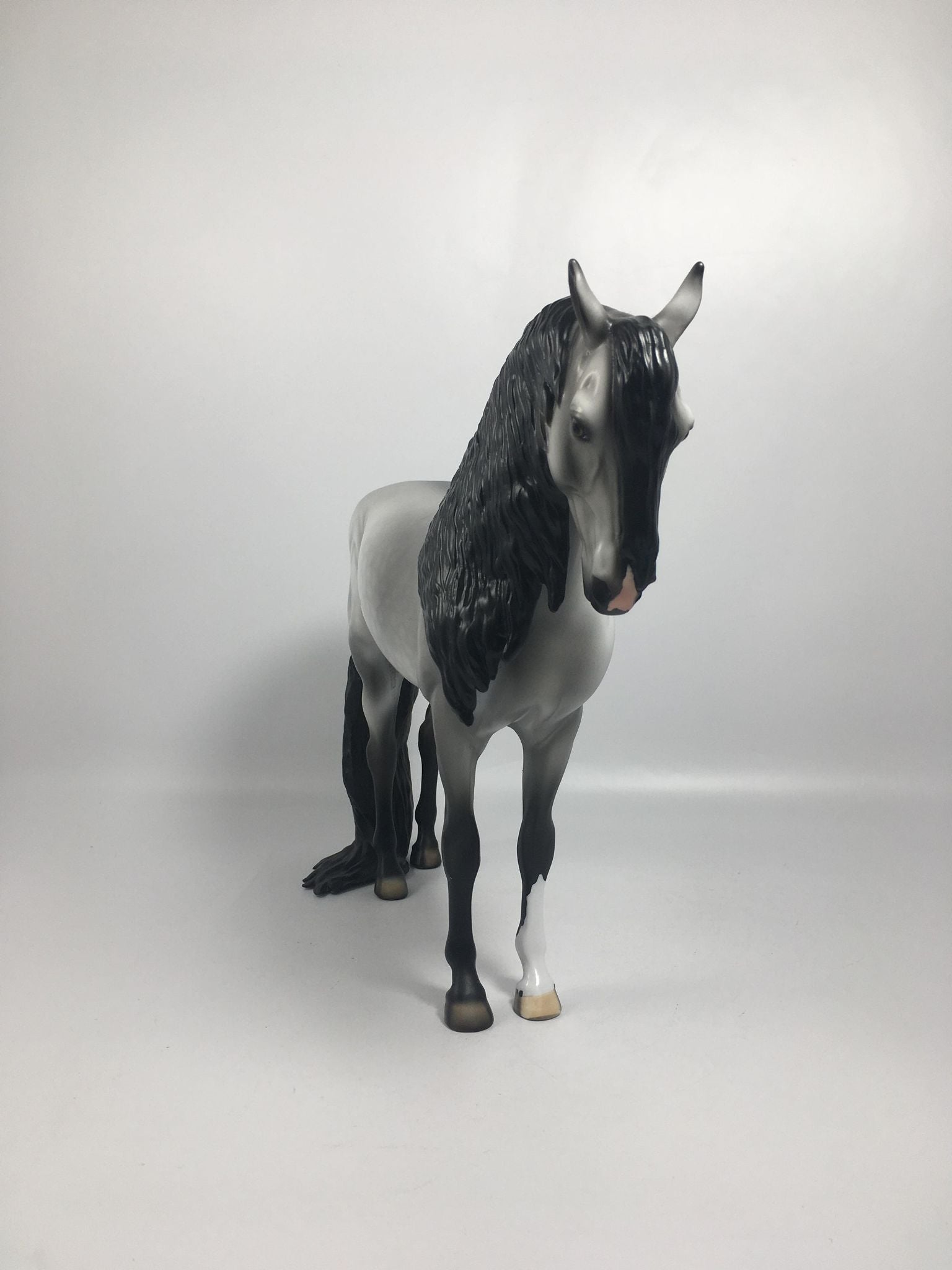 Mambo-OOAK Mardi Gras Andalusian 2/16/21