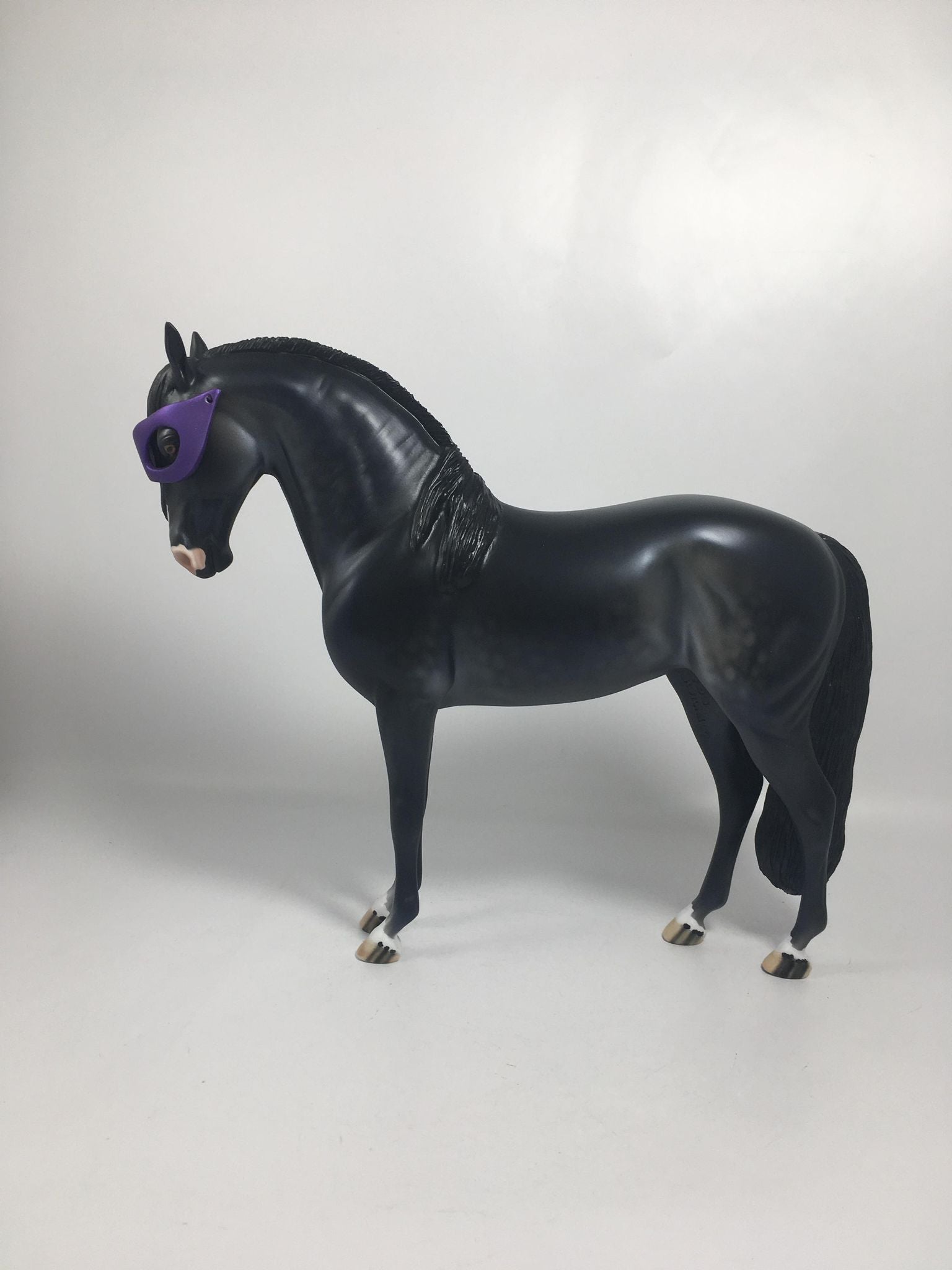 Voodoo-LE-15 Dapple Black Andalusian By Dawn Quick 2/16/21