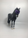 Voodoo-LE-15 Dapple Black Andalusian By Dawn Quick 2/16/21