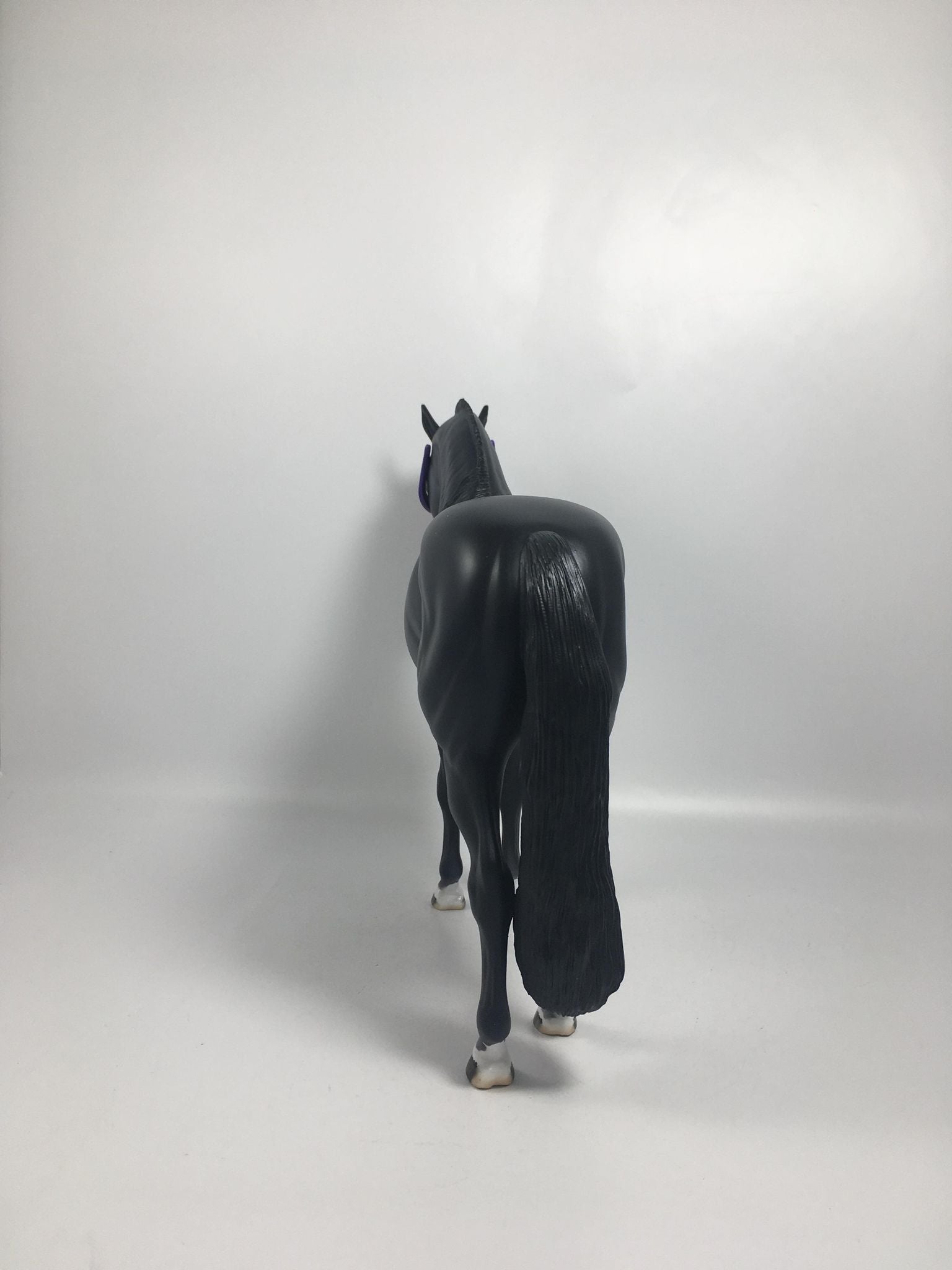 Voodoo-LE-15 Dapple Black Andalusian By Dawn Quick 2/16/21