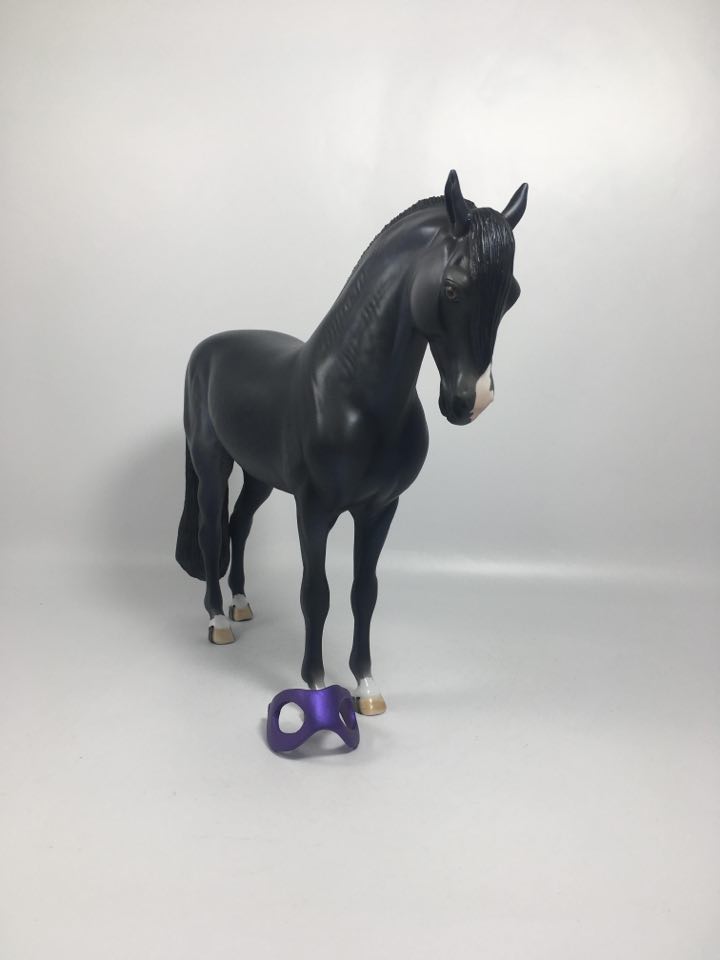 Voodoo-LE-15 Dapple Black Andalusian By Dawn Quick 2/16/21