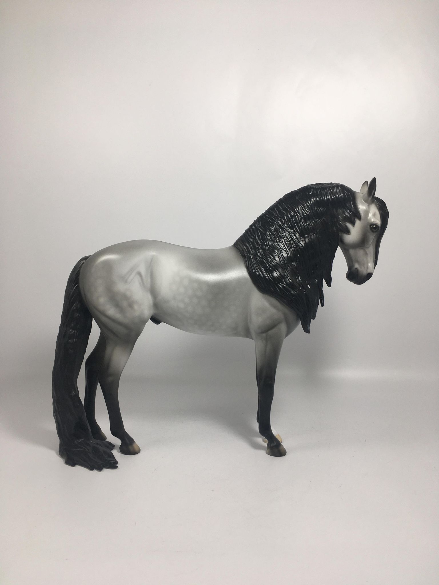 Mambo-OOAK Mardi Gras Andalusian 2/16/21