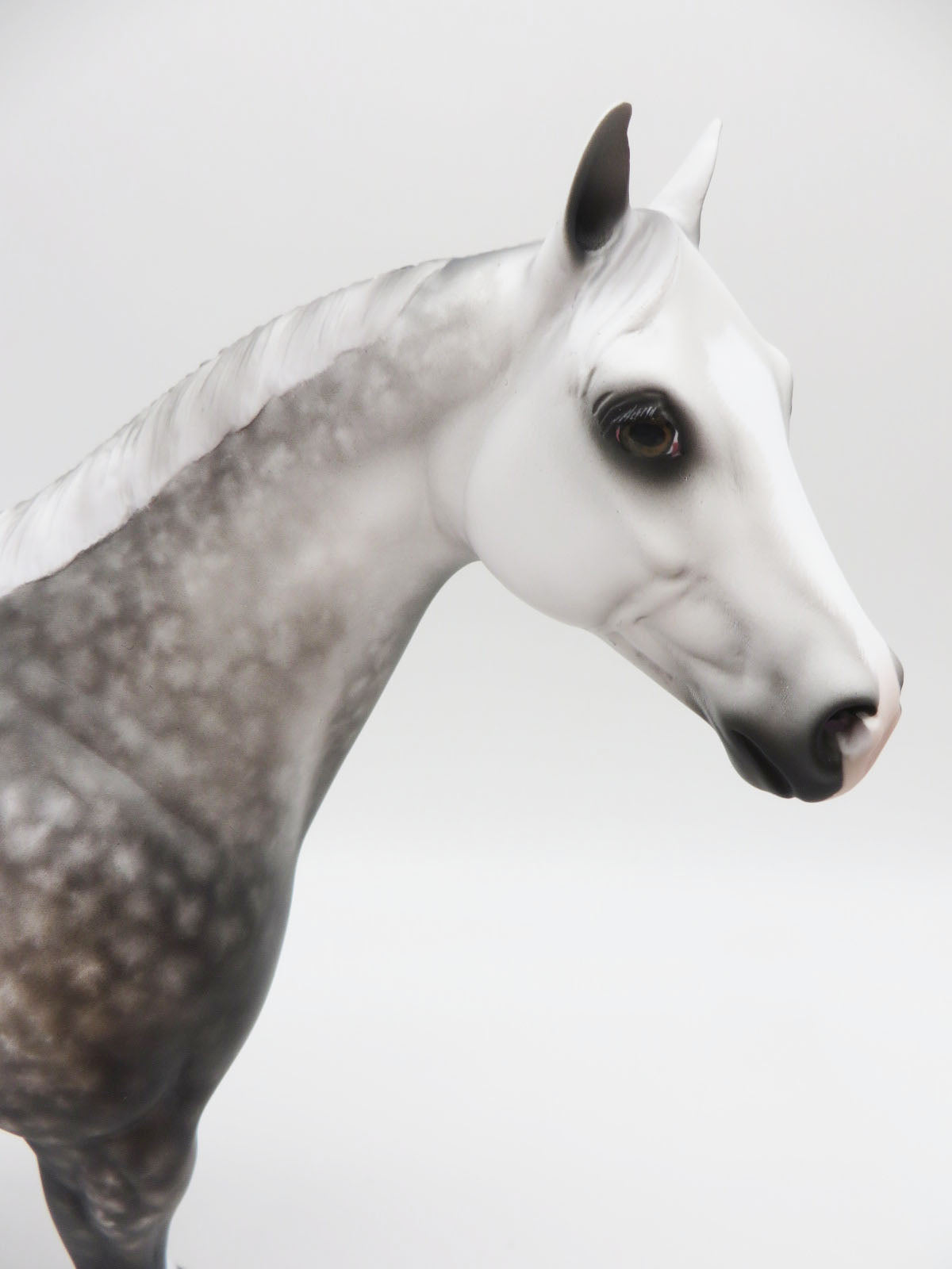 Spanky - OOAK Dapple Grey ISH Painted by Sheryl Leisure BO 10/7/22