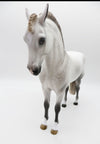 Petey - OOAK - Dapple Grey Andalusian Painted by Sheryl Leisure BO 10/7/22