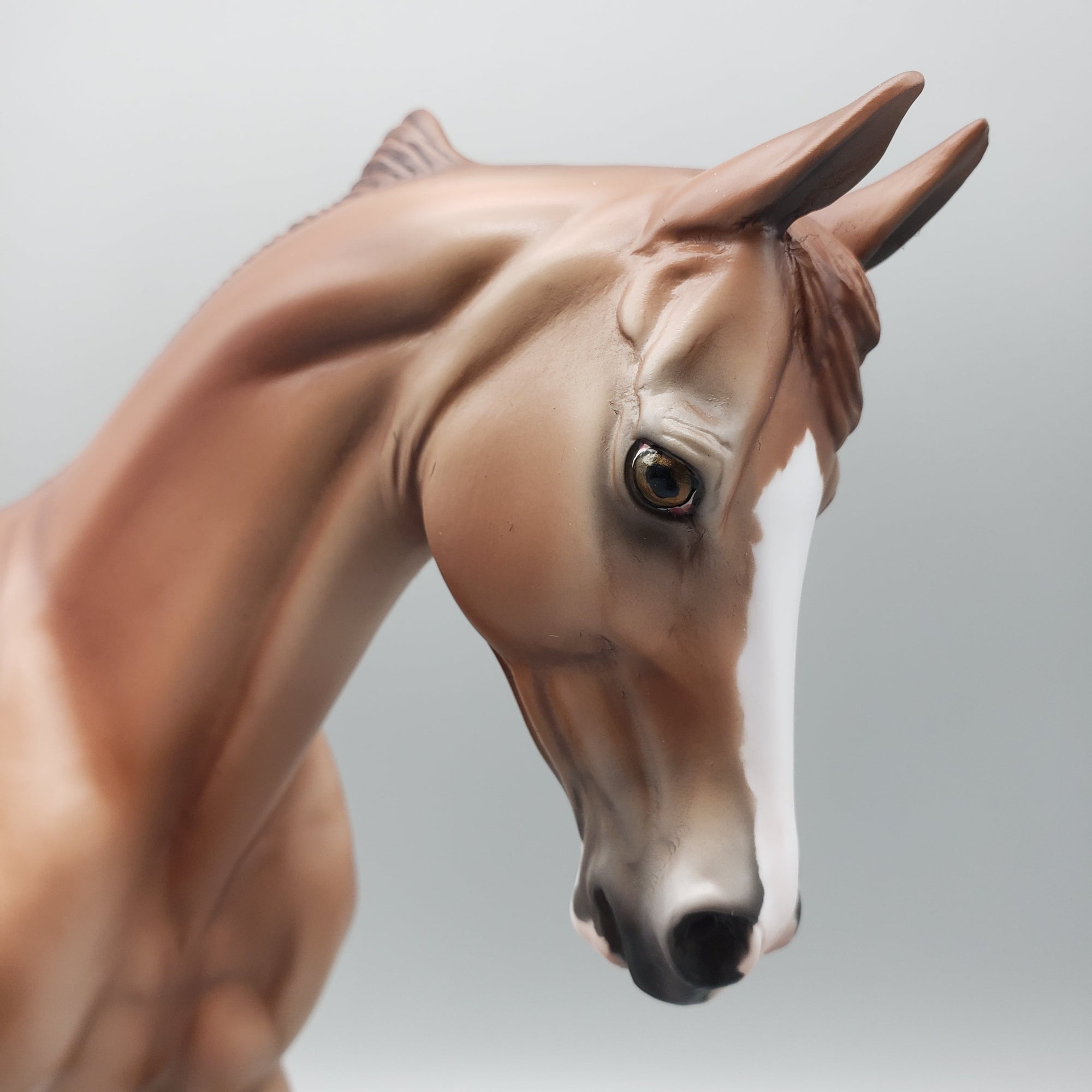 Marshall - OOAK - Reverse Dapple Chestnut Thoroughbred By Jess Hamill EQ23