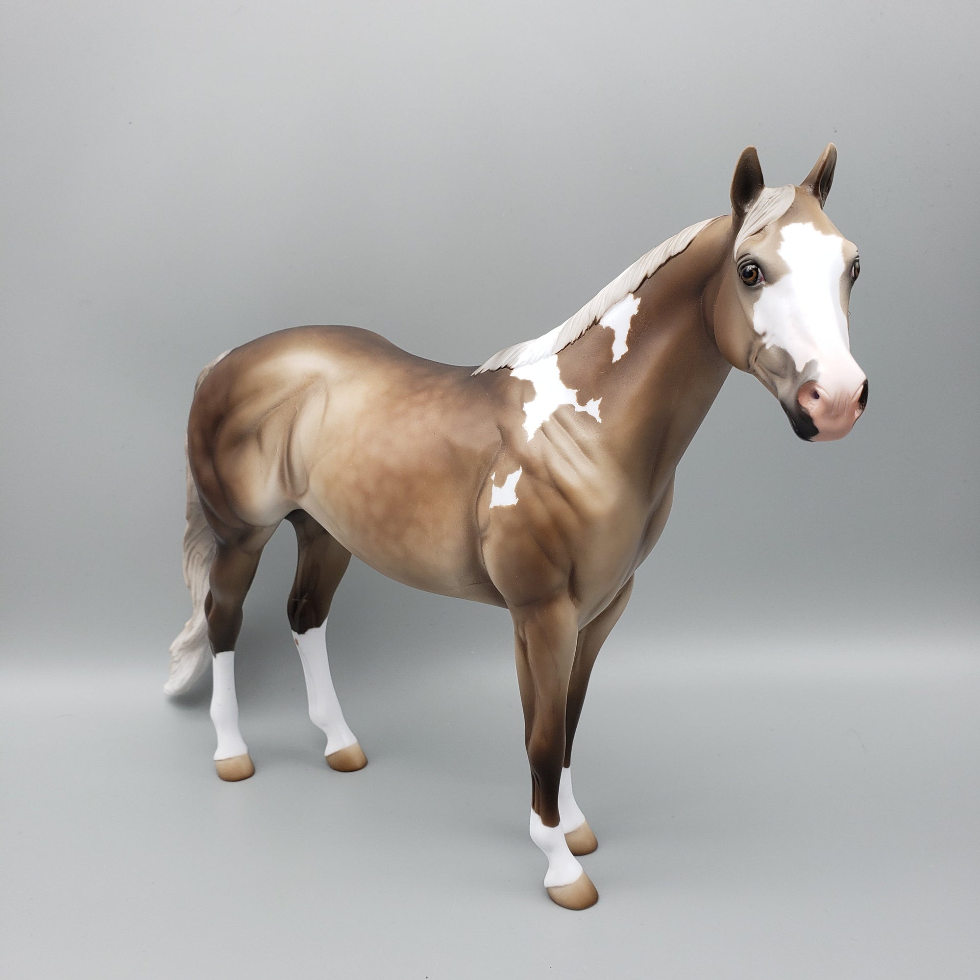 Bango - OOAK - Sooty Palomino ISH By Jess Hamill EQ23